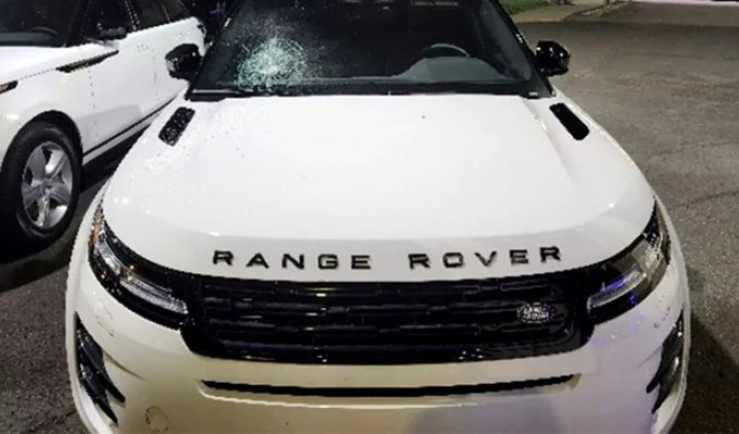 Женщина получила счёт на 100 тысяч долларов за повреждение 16 автомобилей во время ссоры в автосалоне (2 фото)