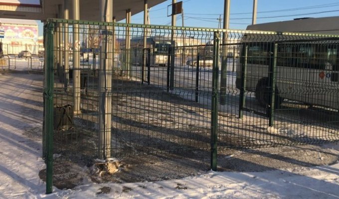 Тюменцев возмутили загоны для людей на вокзалах (7 фото)