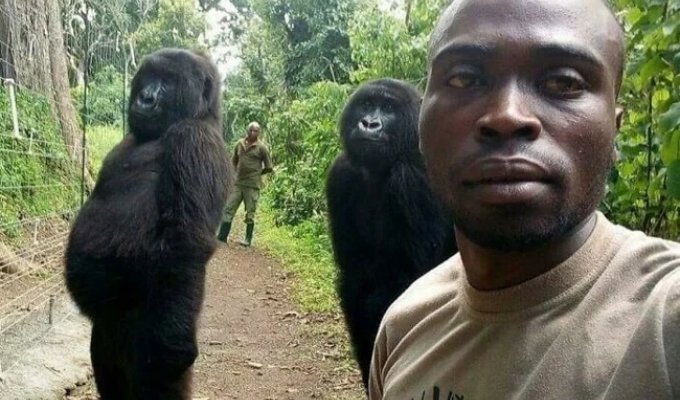 35 fascinating shots from the "Interesting As Fuck" Reddit community (36 photos)
