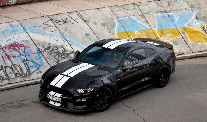 Powerful charged Ford Mustang Shelby (4 photos)