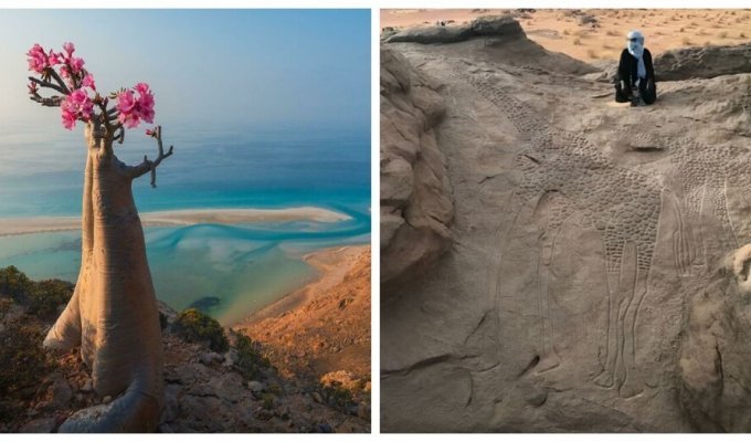 25 чудесных находок, сделанных во время путешествия по пустыне (26 фото)