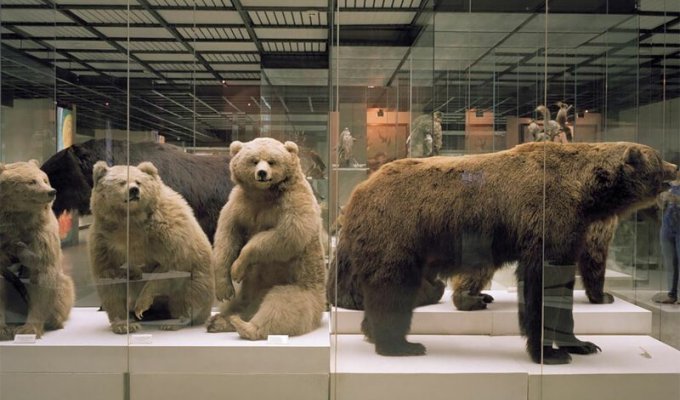 Потерянные во времени: фотографии из московских музеев (19 фото)
