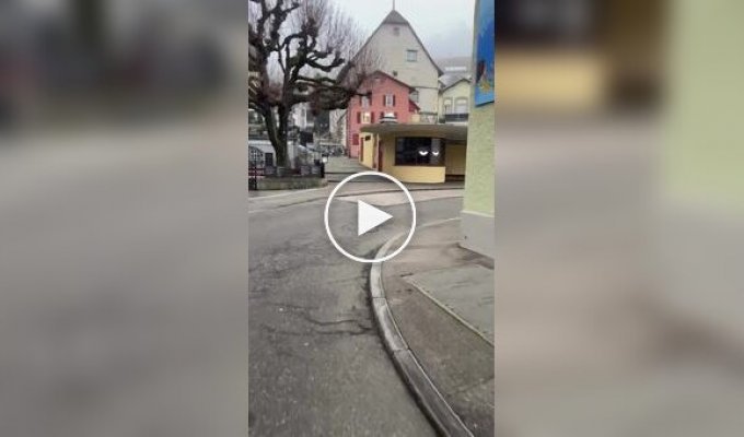 Глазастая остановка