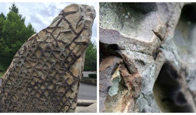 Waffle stone from Lake Jennings - the talent of the ancients, the creativity of aliens or the jokes of higher powers? (6 photos)