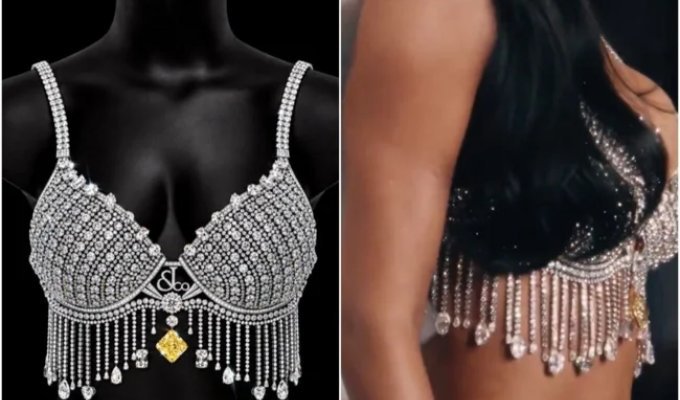 The World's Most Expensive Bra (1 Photo + 2 Videos)