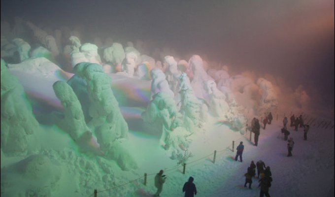 Японские «снежные монстры» (17 фото)