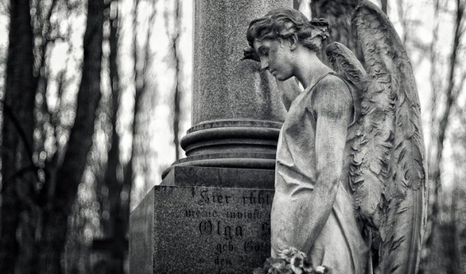 Введенское кладбище (27 фото)