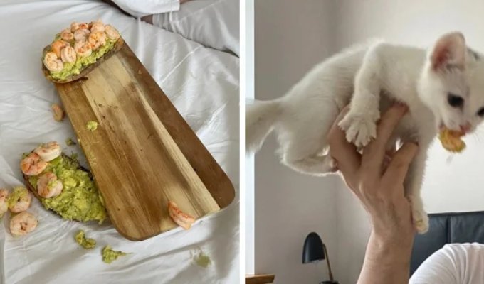 17 провальных фотографий от людей, которые в этот день вытащили у судьбы неудачный билет (18 фото)