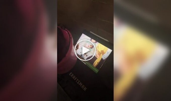 Конь-анимешник