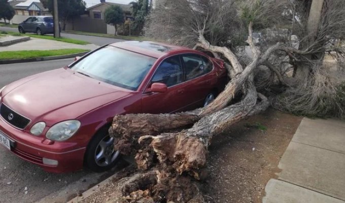 19 photos where everything matches so perfectly they deserve an award for perfection (20 photos)