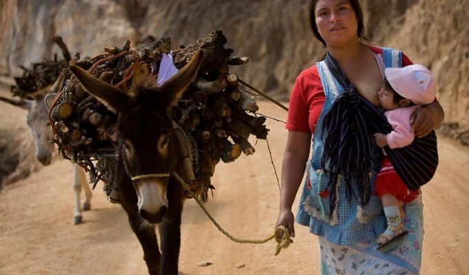 Тяжелая судьба мексиканских жен (20 фото)
