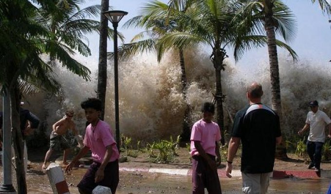 Топ 10 самых больших в мире цунами (11 фото)