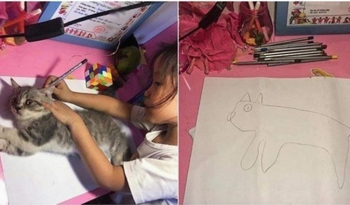 Девочка хотела нарисовать кошку, а получился новый мем (12 фото)