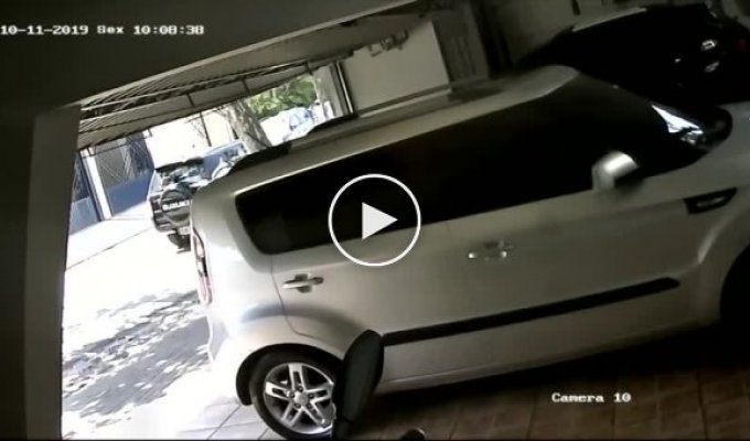 Попытка ограбления дома в Бразилии попала на видео