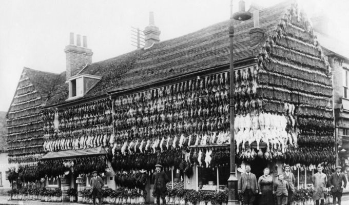 Когда не было холодильников: фото с улиц Лондона и Парижа конца 19 века (8 фото)