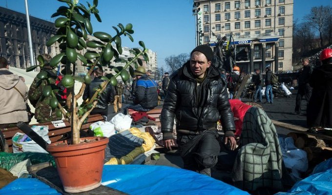 Детали Майдана (43 фото)
