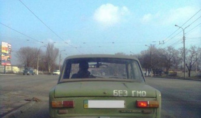 Дураки и дороги есть не только в России (48 фото)