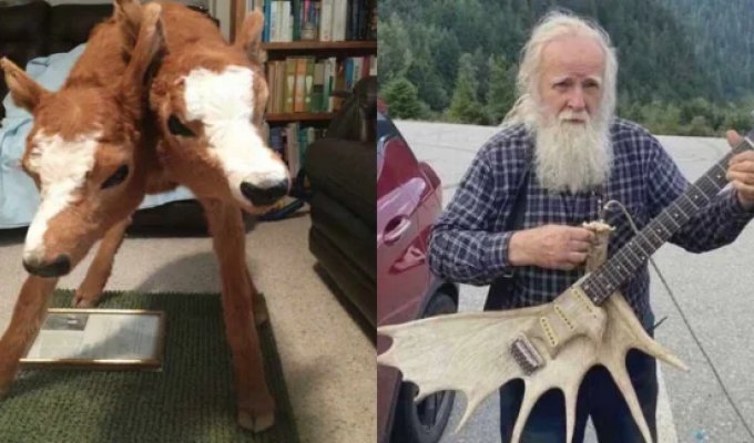 22 Bizarre Real-Life Photos That Are Hard to Believe (23 photos)