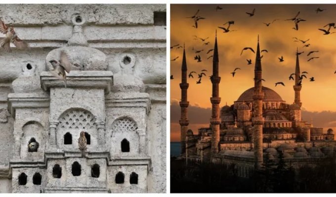 Palaces for the winged inhabitants of the Ottoman Empire (17 photos + 1 video)