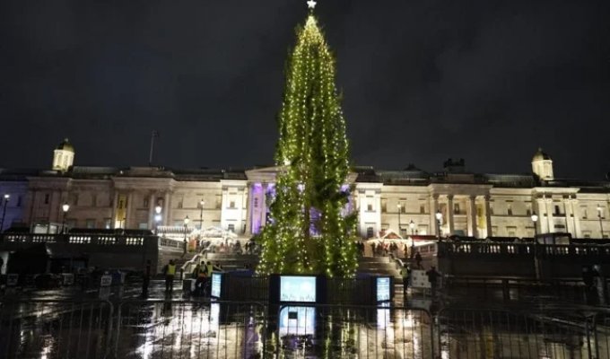 Christmas tree fails to impress residents of England (2 photos + 1 video)