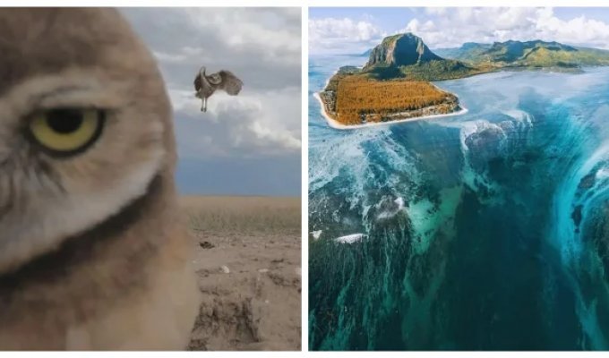 15 Photo Stories Proving the World Hasn't Lost Its Ability to Surprise (16 photos)
