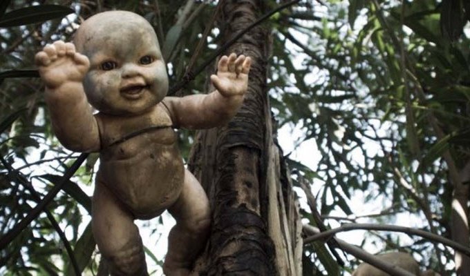 Ла Исла де ла Мюнека — остров в Мексике, «населенный» ужасными разлагающимися куклами (14 фото)