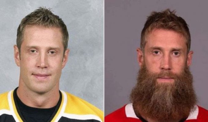 Как изменились хоккеисты NHL, отпустив бороды (10 гифок)
