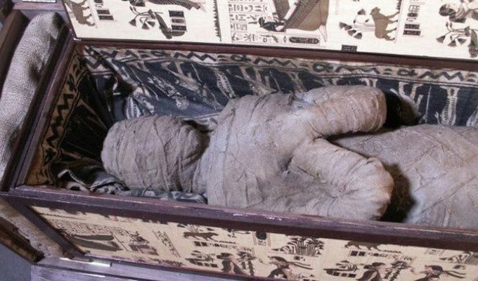 Немецкий мальчик нашел древнюю египетскую мумию на чердаке своей бабушки (4 фото)