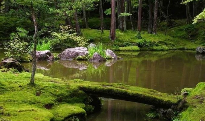 Сад мхов Saiho-ji. Япония (28 фотографий)