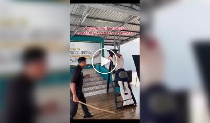 В Сингапуре будут пороть мошенников розгами ., Сингапур, мошенничество, наказание, порка