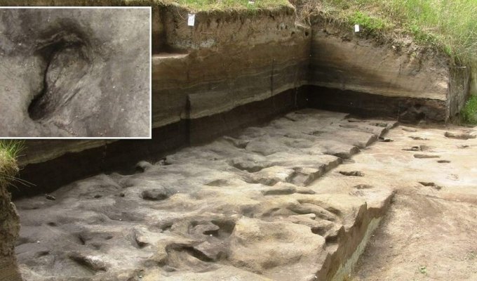 В Германии нашли самые древние следы человека: им около 300 000 лет (6 фото)