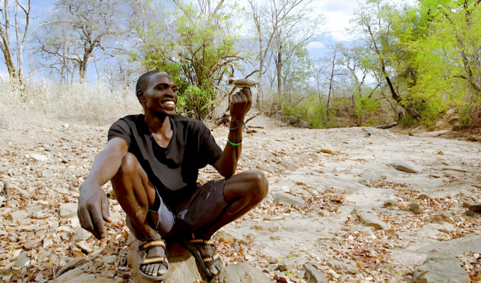 Як деякі племена Африки використовують на полюванні мініатюрних птахів (4 фото)