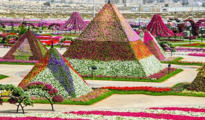 Уникально красивый сад в Дубае (20 фото)