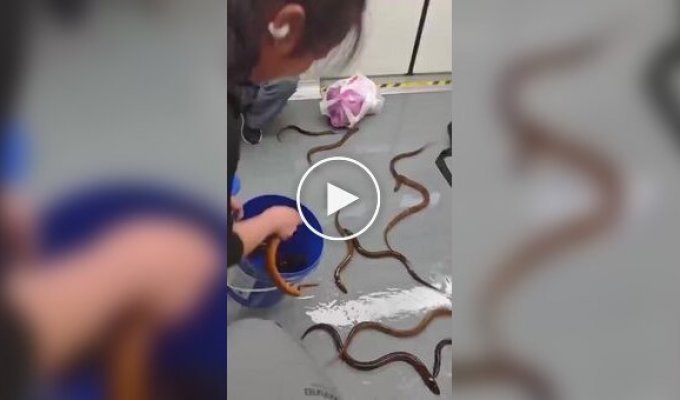 Скользкая ситуация в Шанхае