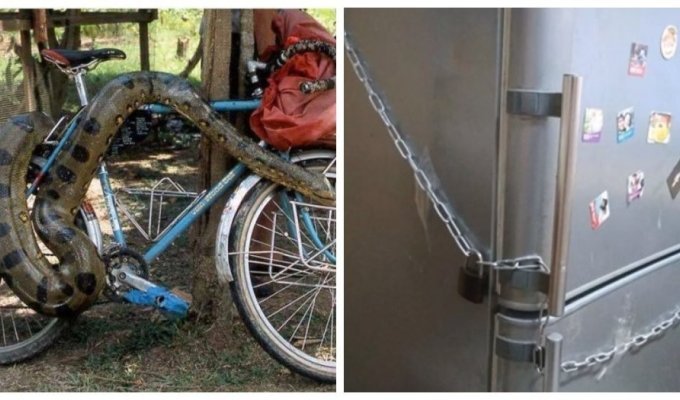 17 “anti-theft” devices that would surprise thieves (18 photos)