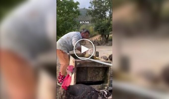 Обычный день фермера в деревне