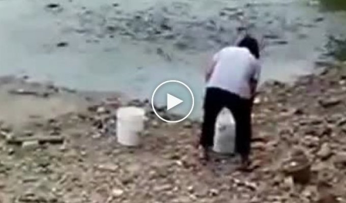 Голодные рыбы «выходят» на берег чтобы поесть