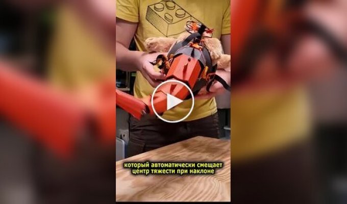 Парень вернул курицам хвосты, чтобы они снова ходили как динозавры