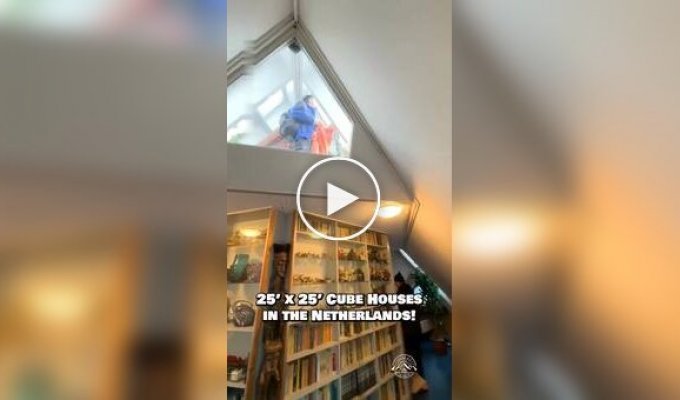 Кубический квартал Роттердама