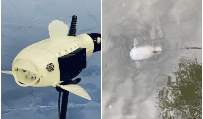 A student created a robotic fish that can save water bodies (5 photos + 1 video)