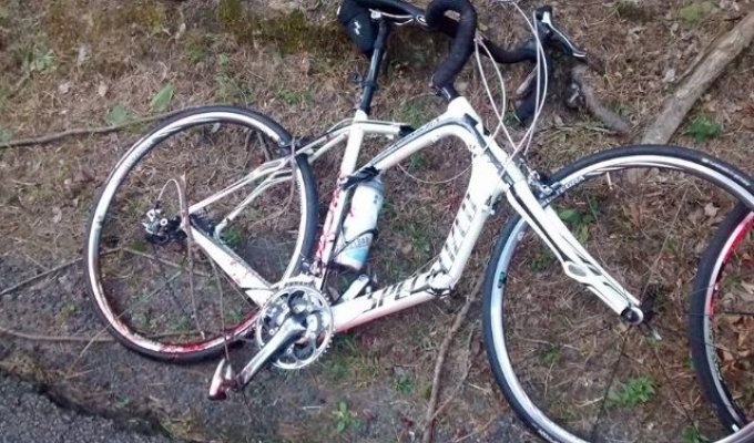 В столкновении велосипедиста и оленя выжил только велосипедист (6 фото)