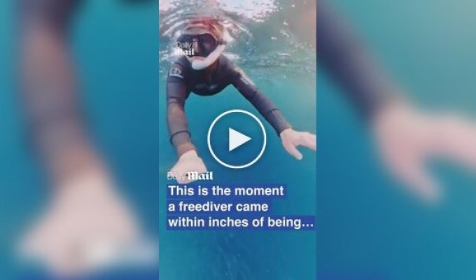 Кит чуть не проглотил женщину в Норвегии