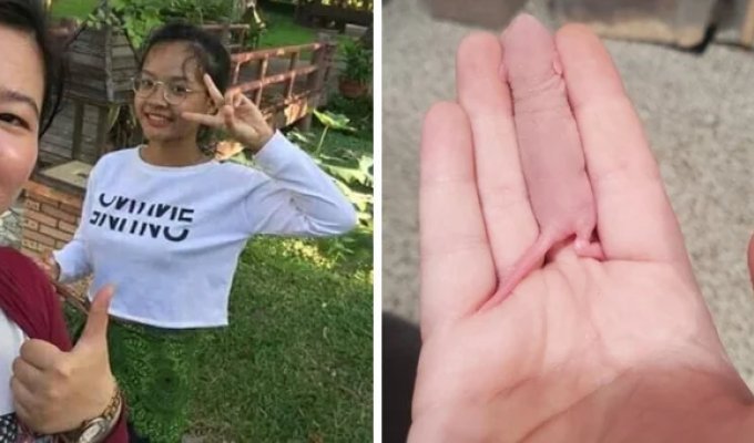 22 Examples of Camouflage That Are Hard to Explain as Coincidence (23 photos)