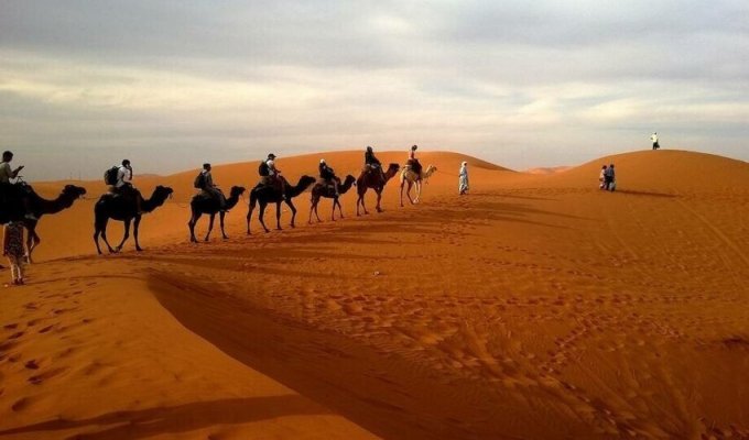 Крізь пустелю: як виглядає життя погонича верблюдів (4 фото)