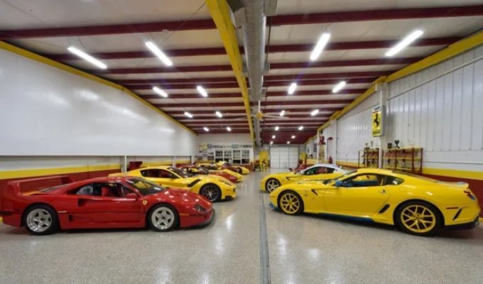 Коллекцию из 46 редких Ferrari пустят с молотка (10 фото)