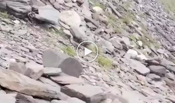 Miraculous rescue after a rockfall