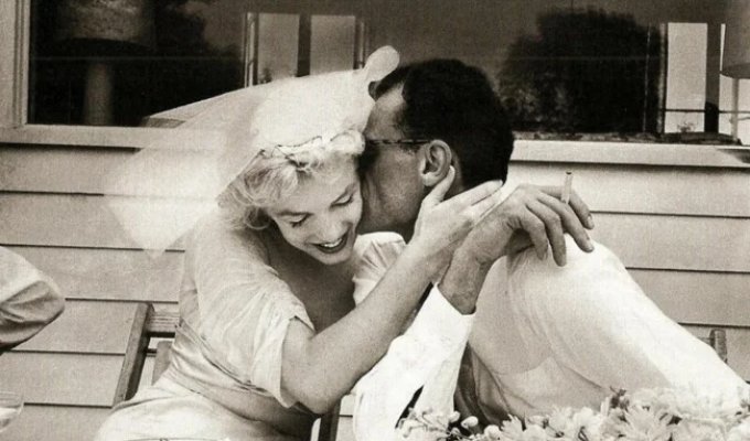 Kisses of the Greats (26 photos)