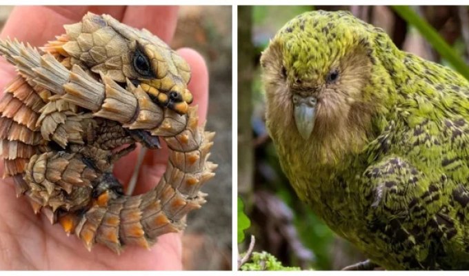 23 веских причины заново влюбиться в эту планету (24 фото)