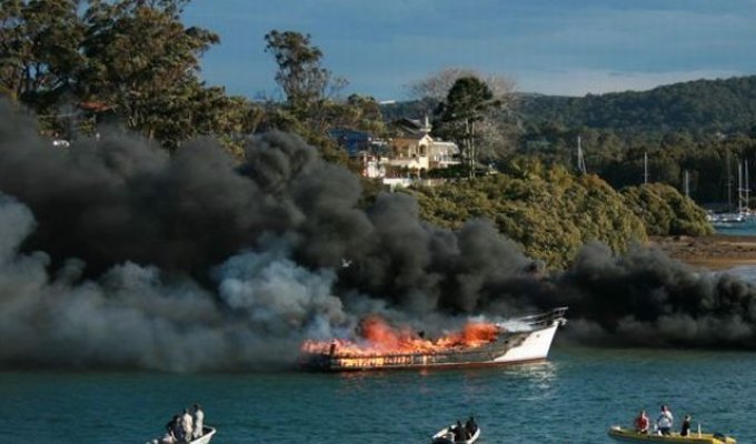 Пожар в Сиднее (7 фотографий)