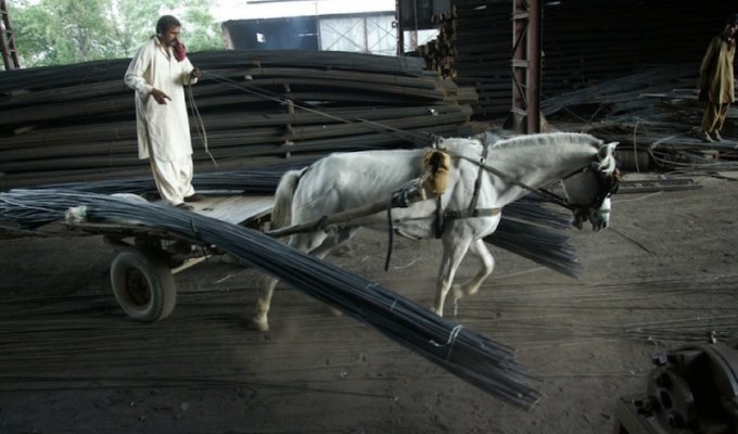 Металлурги Исламабада. Фото Ton Koene (17 фото)